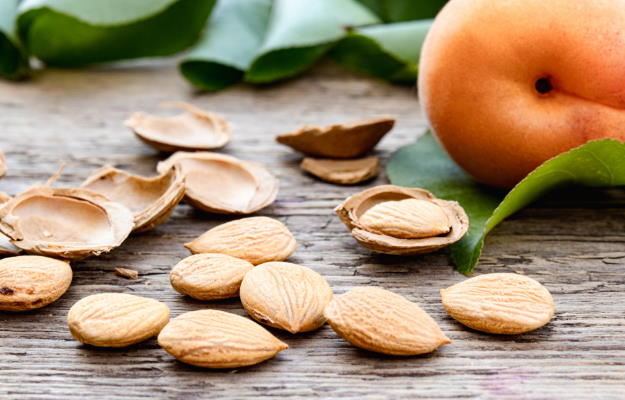 Benefits of Apricot Seeds